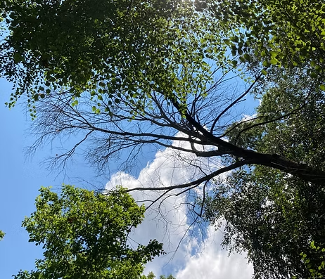 Zoom Healing Session — 30 Min
